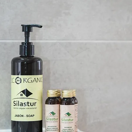 Covadonga Centro דירה