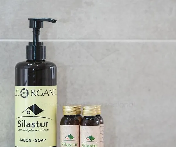 Covadonga Centro Appartamento