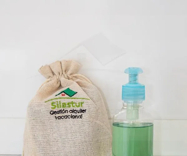 Appartamento Covadonga Centro Oviedo